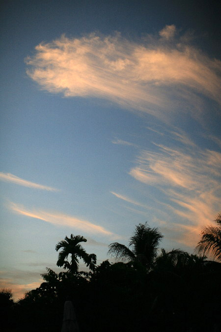 IMG_6237.jpg