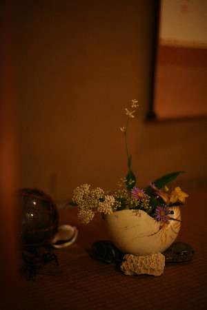 IMG_7970.jpg