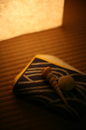 IMG_7971.jpg