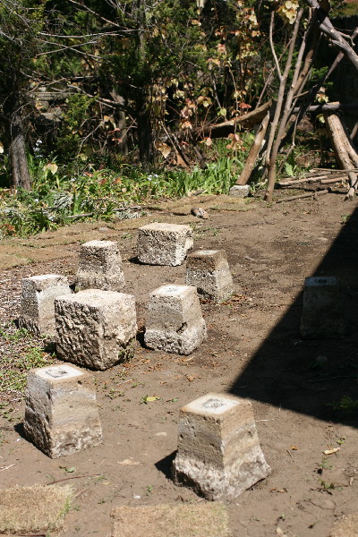 IMG_8174.jpg