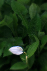 IMG_8766.jpg