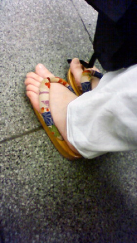aoyama0001.jpg