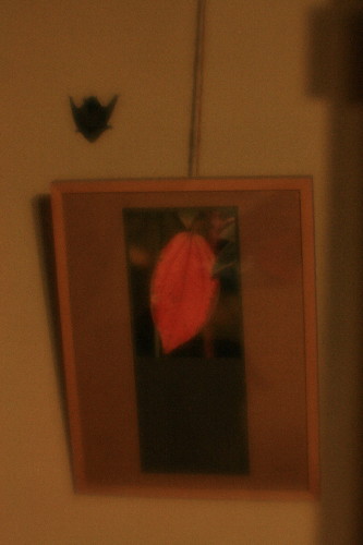 cocoromori0002.jpg