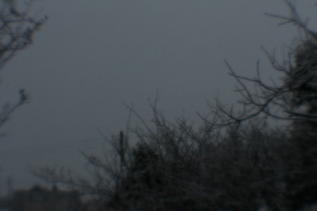 snow20001.jpg