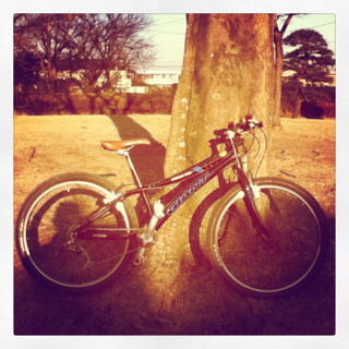 image-20120116212905.png
